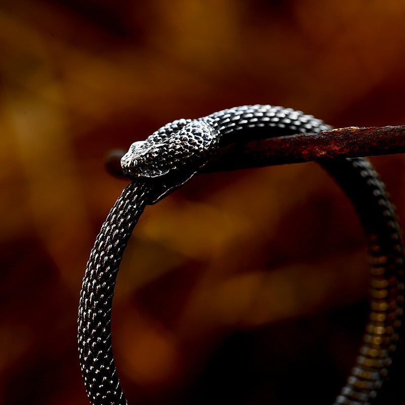 New Animal Snake Shaped Titanium Steel Pendant, Stainless Steel Snake Inlaid with Gemstones, Multiple Accessories