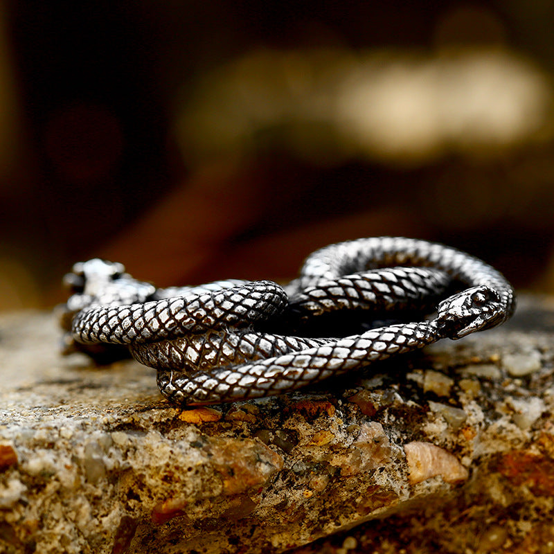 New Animal Snake Shaped Titanium Steel Pendant, Stainless Steel Snake Inlaid with Gemstones, Multiple Accessories